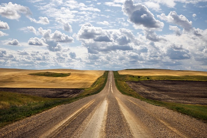 road between fields