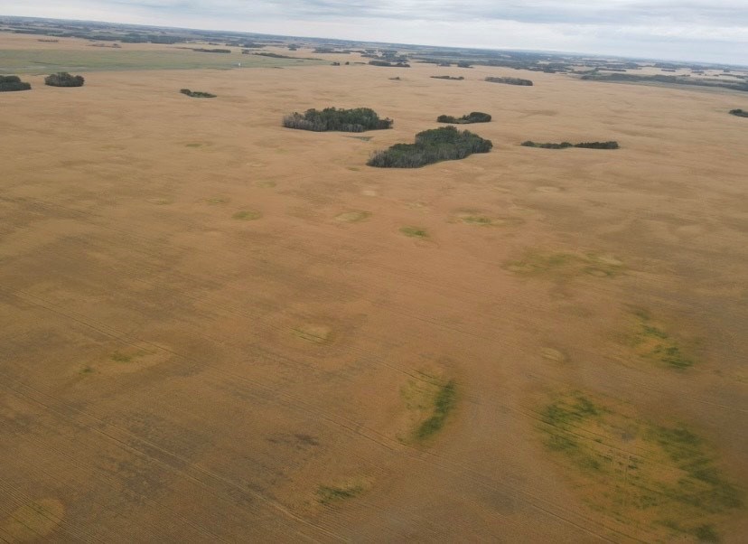 An image captured on the Schultz farm near Unity with the drone they use in their ag operations.