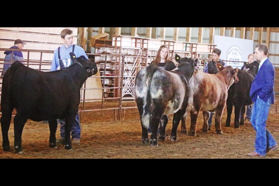 Judge Riley LaFrentz, at right, had a look at each entry in the All Breeds heifer category