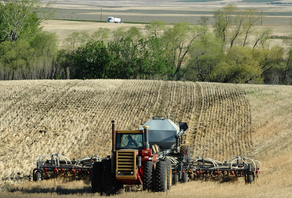 seeding no till