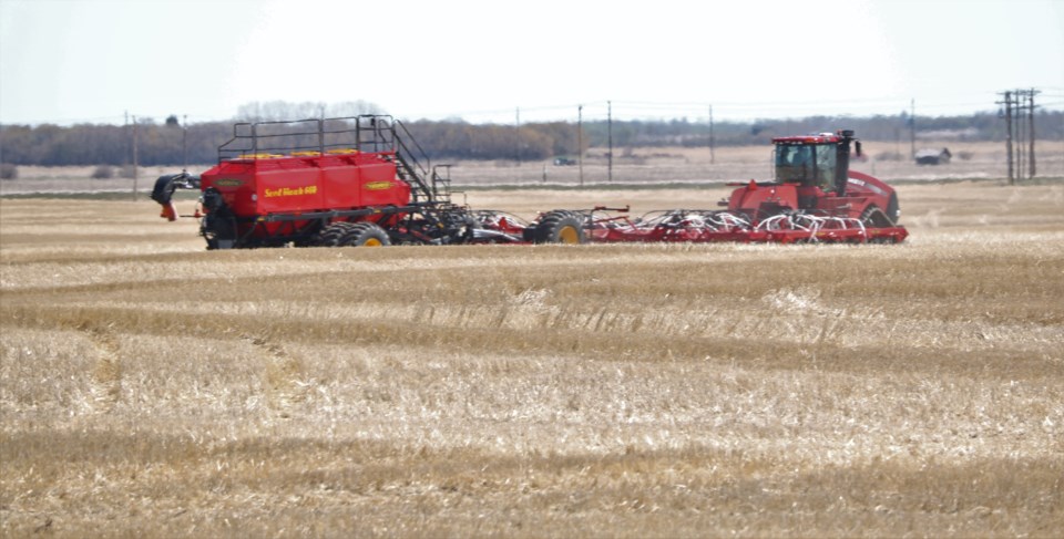 Seeding stock shot 