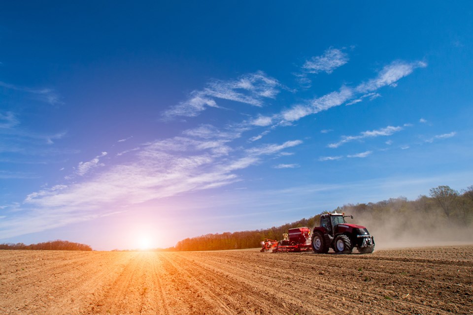 seeding with the sun