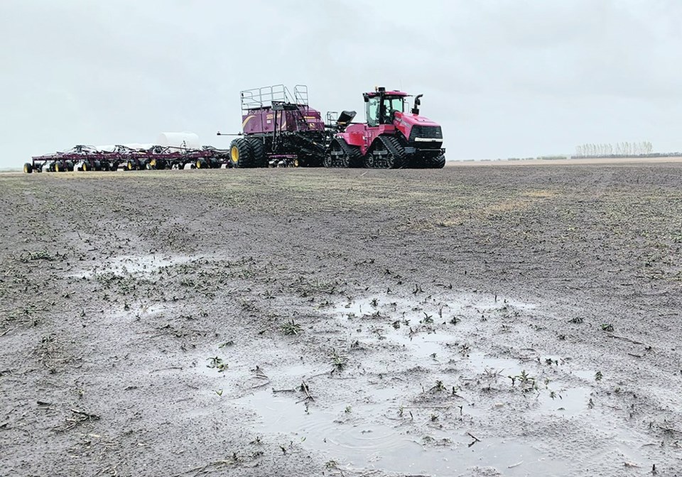 soggy-seeding