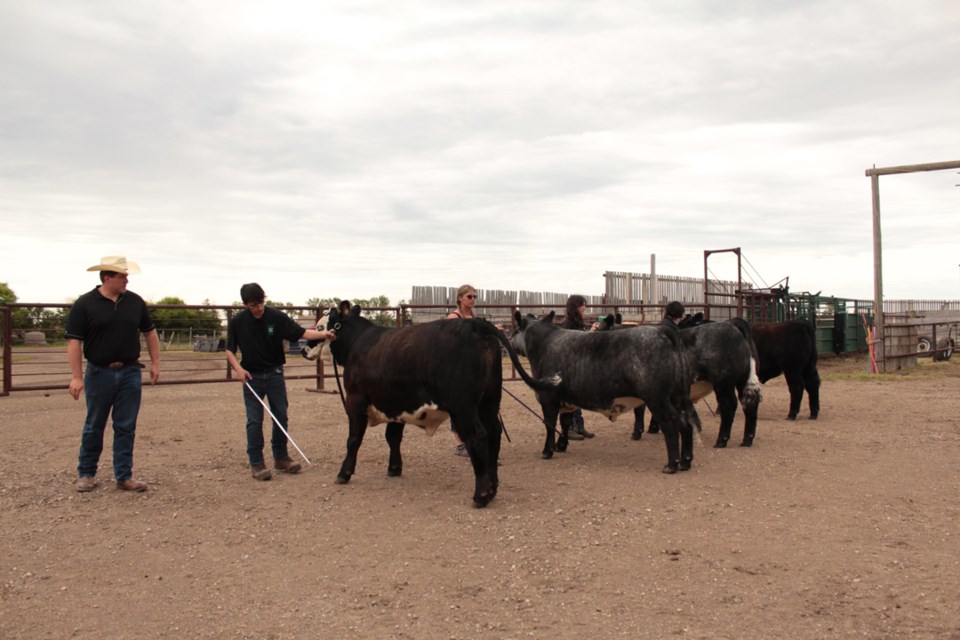 stoughton-4-h-club-feb-2023