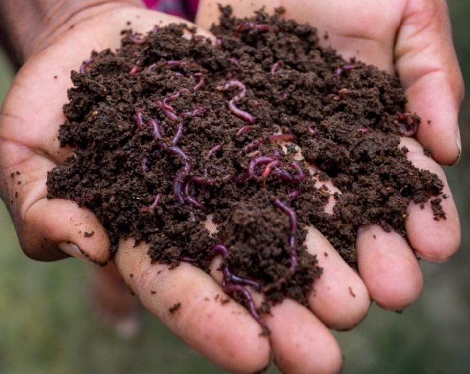 vermicomposting