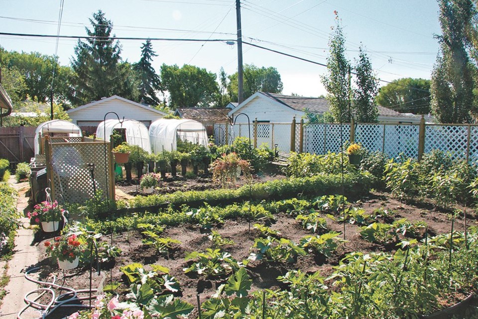 web22-3-col-urban_garden_2382084