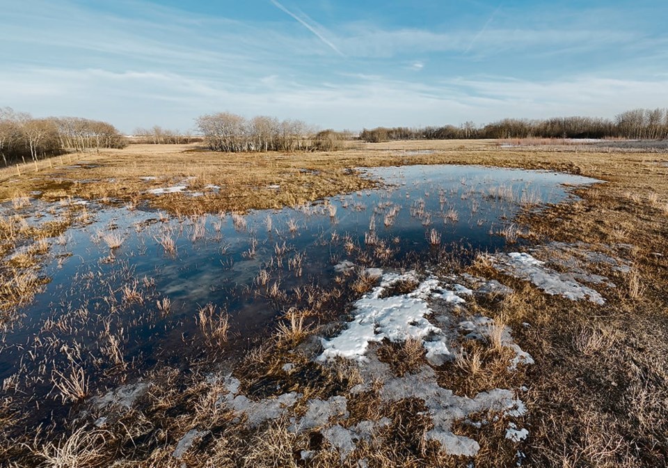 01-5-col-spring-runoff-main-front0423