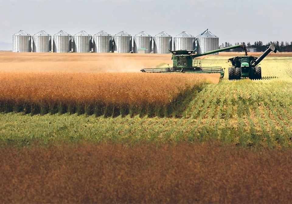 01-mjr-straight-cutting-canola