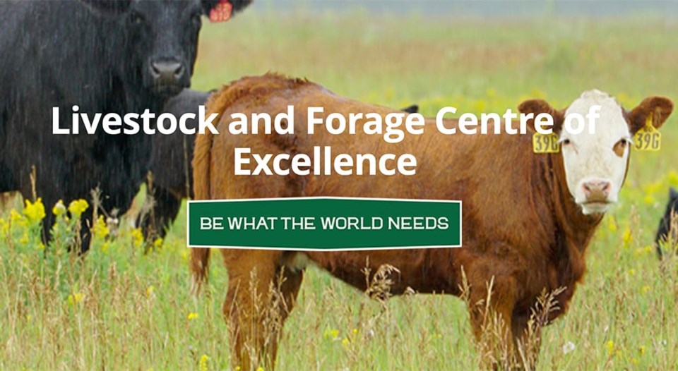 02-livestock-forage-centre-of-excellence