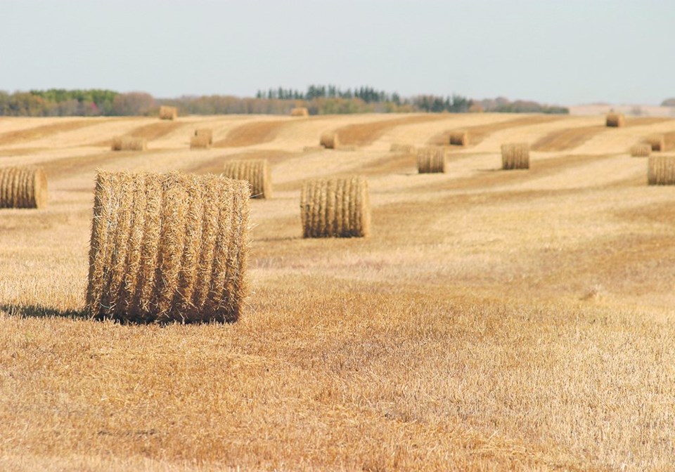 03-straw-bales