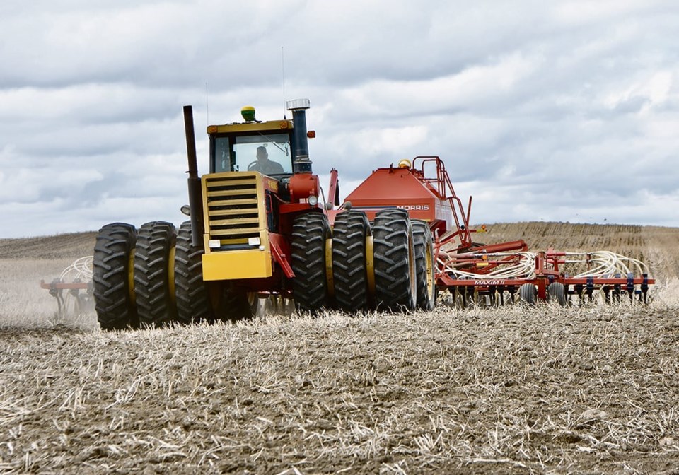03_4-col_top-mw-seeding-1-dsc_0655