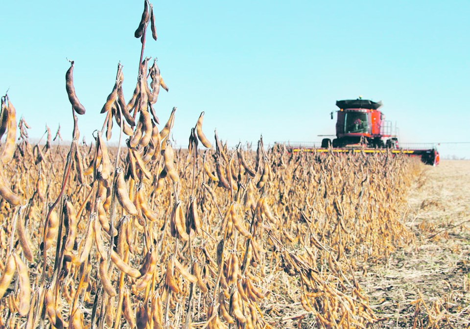 07-soybean-harvest0423