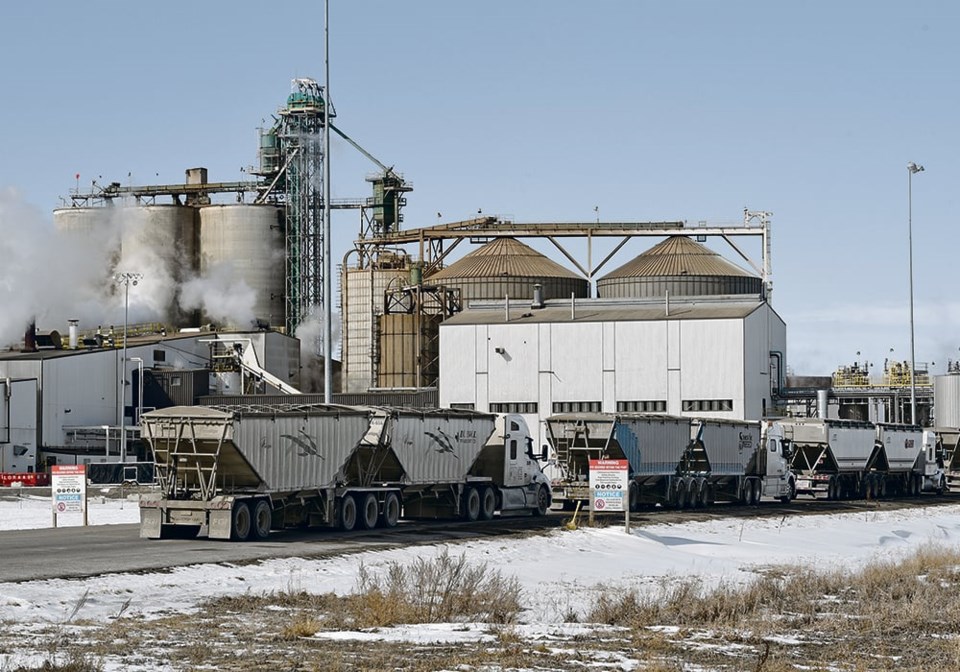 08-4-col-cargill-ag-horizon-510224