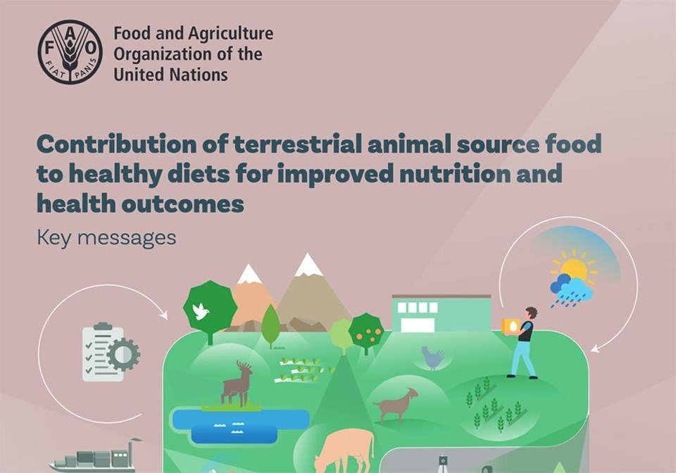 10-un-fao-report-screencap