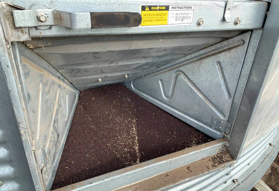101351_web1_pby-canola-seed-in-bin-horizontal-241007