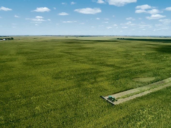 11-hemp-swathing-aerial-707