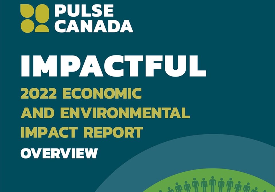12-pulse-canada-impact-report-screencap