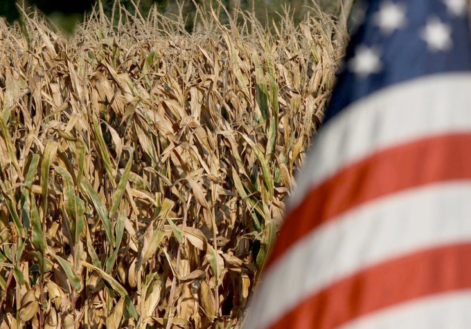 14-us-corn-1