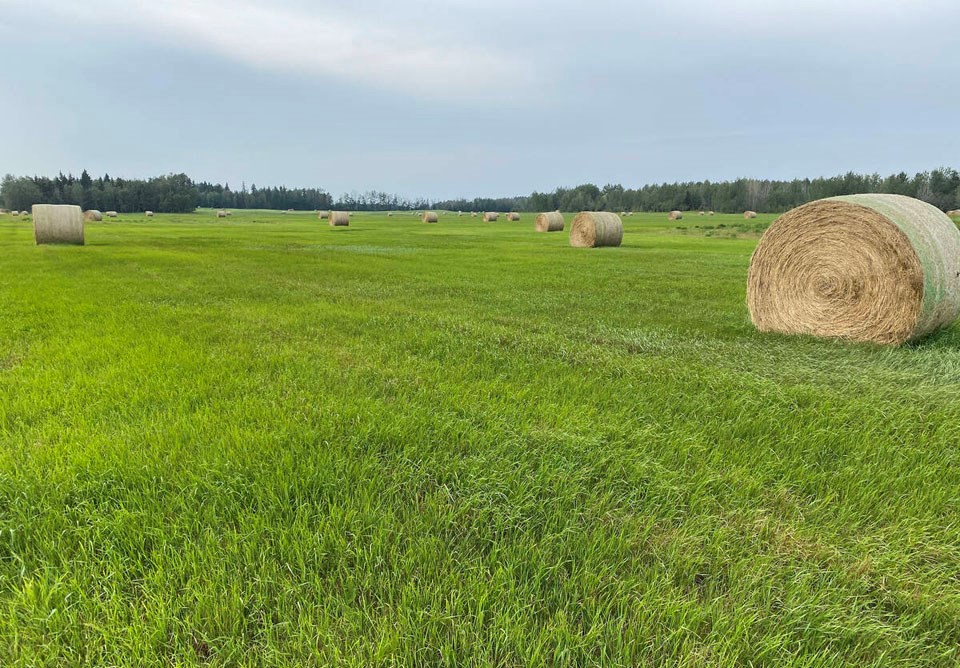 150256_web1_drought_bales