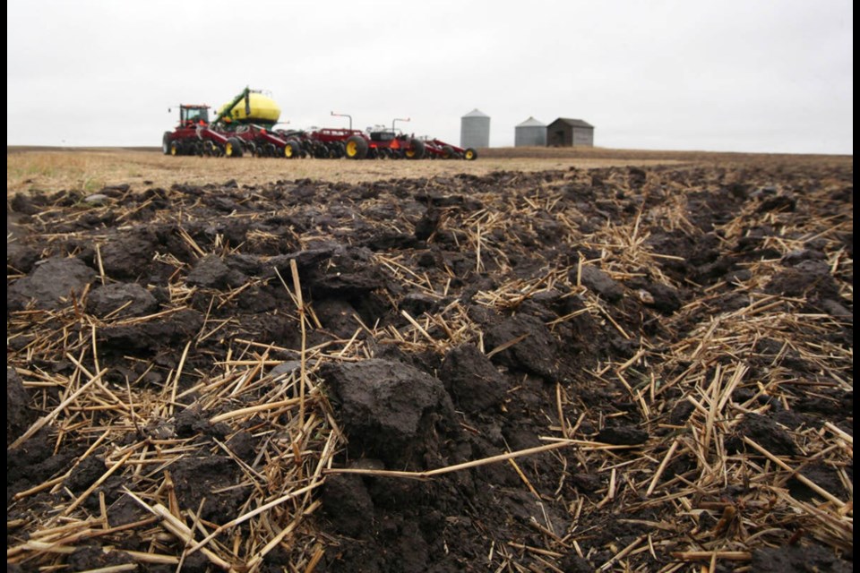 For decades, soil scientists and farmers used to talk about the quality of the soil rather than soil health. Some researchers believe the two concepts are basically the same thing. 