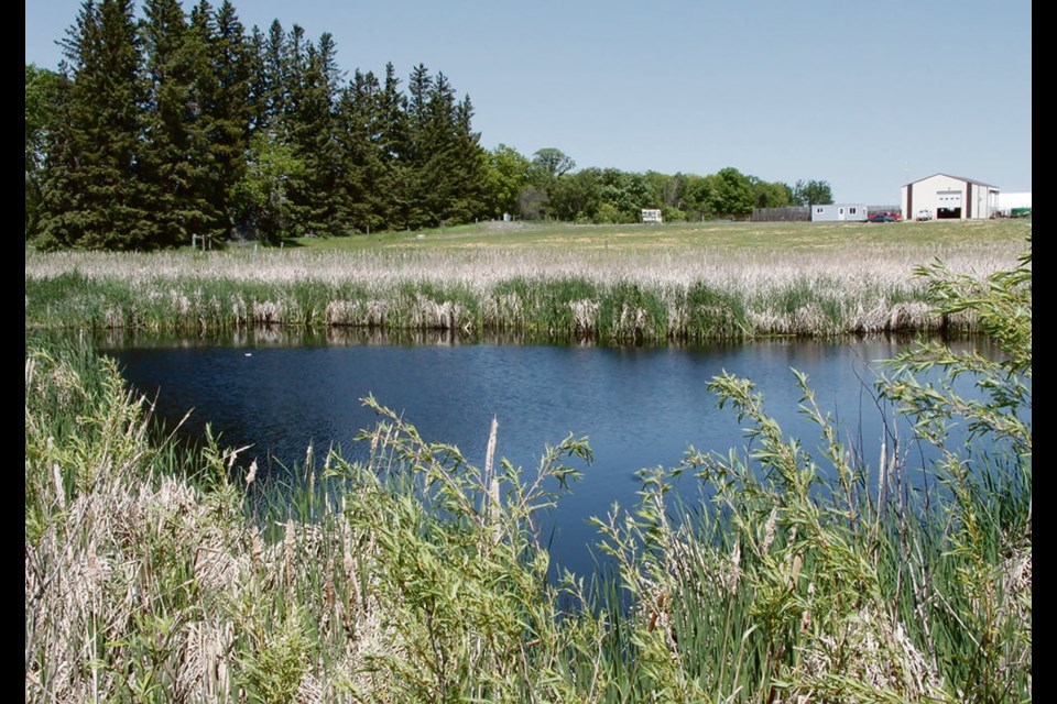 Beaver activity can help preserve wetlands, and experts say research has shown that a wetland is like the tip of an iceberg; the surface is a fraction of the total water storage volume. 