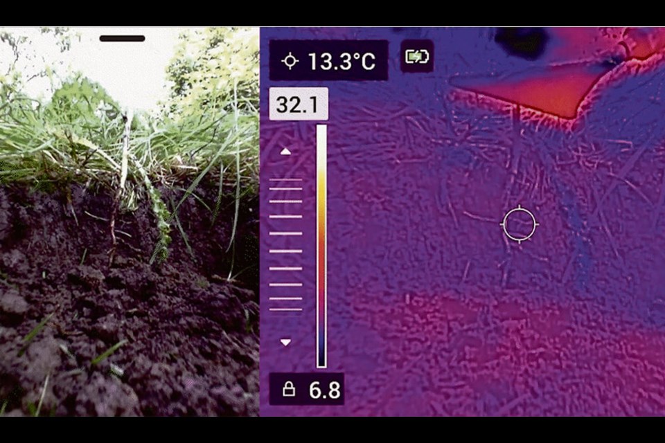 The Garford-RootWave eWeeding system is currently available in up to a six-metre working widths in either a rear- or front-mounted configuration. 