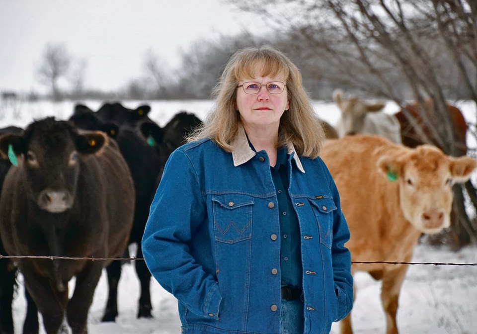 37-3-col_jm-antibiotic-resistant-calves-waldner-cheryl-aw