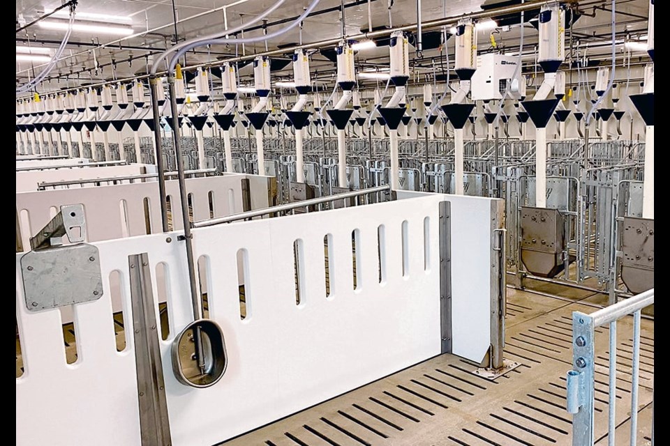 In one wing of the finishing area, researchers use a specialized feed dispenser capable of measuring individual pig intake and feeding habits using RFID technology, allowing for a more accurate correlation between intake, gain and quality. 