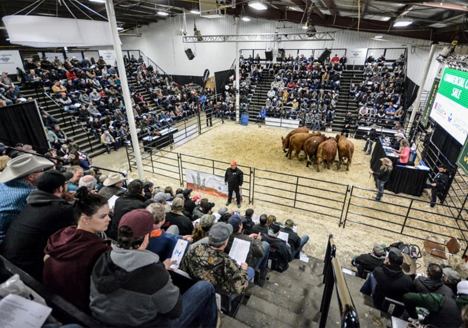 41-agribition-screncap