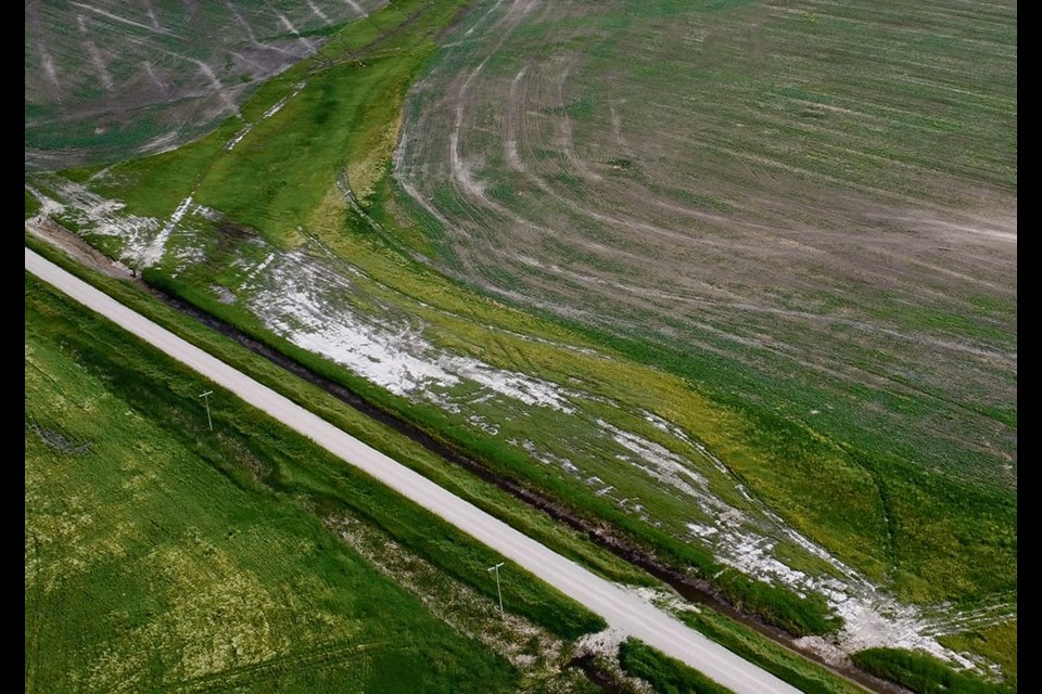 Tile drainage offers producers a tool to reduce or control soil salinity (foreground), which can be a significant limitation to crop production across the Prairies. 