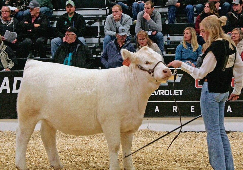 45-5-col-kjb12012023_agribition_charolais