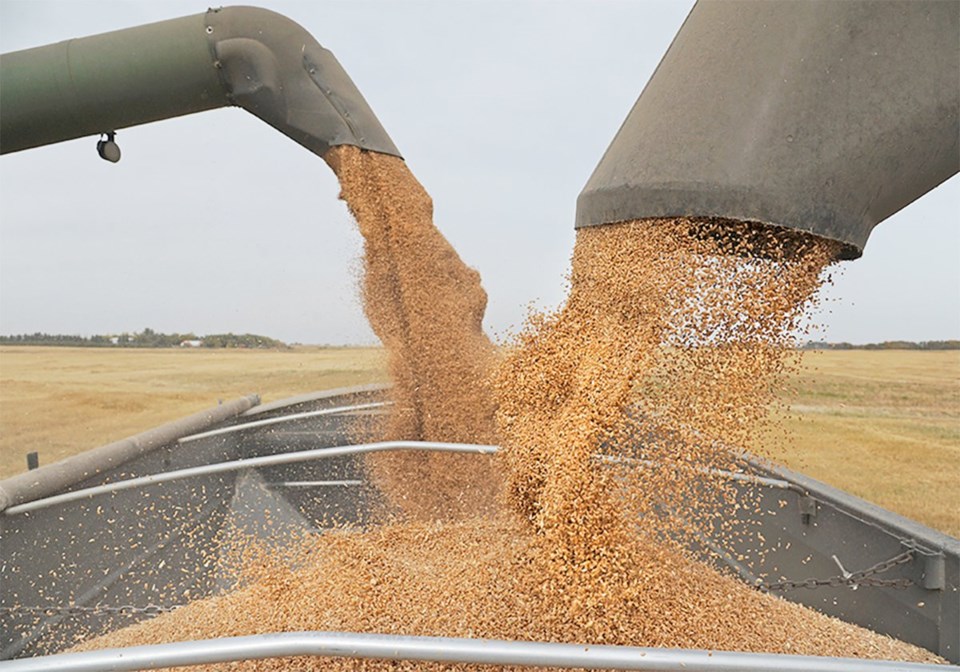 46-wheat-bad092914_harvest_seed51-1200