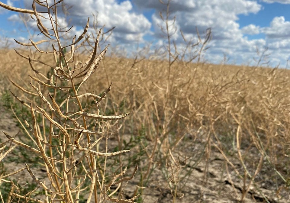 crop_insurance_territory_mr08282021_canola_flaxcombe_1