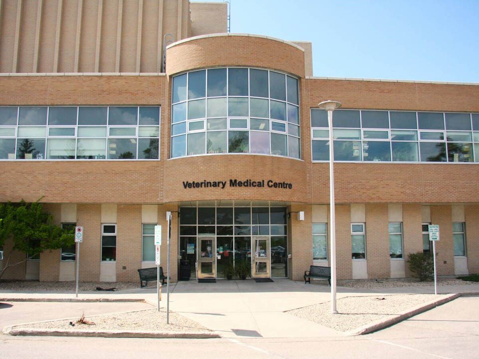 western-college-of-veterinary-medicine