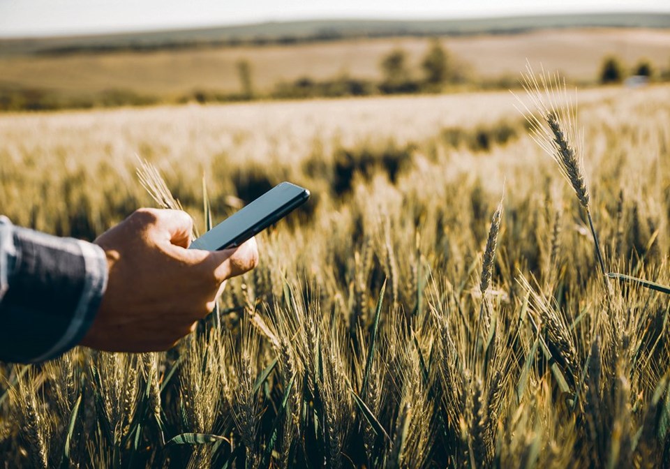 farm mental health