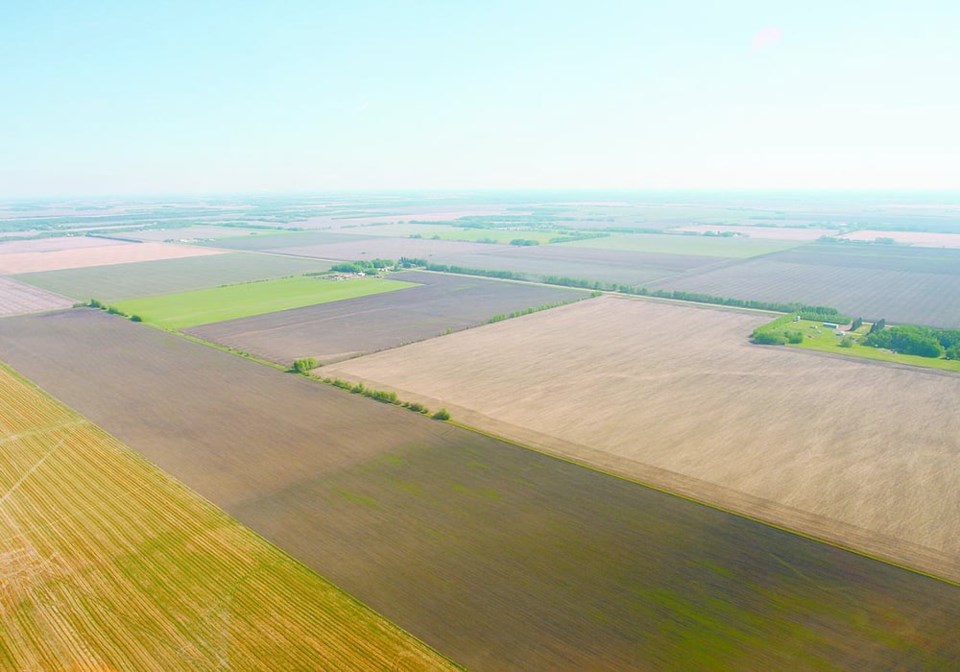 farmland_aerial0669