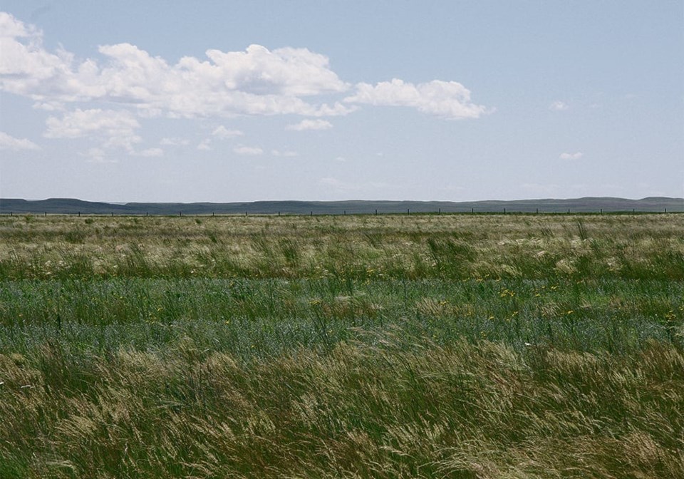 grasslands0523