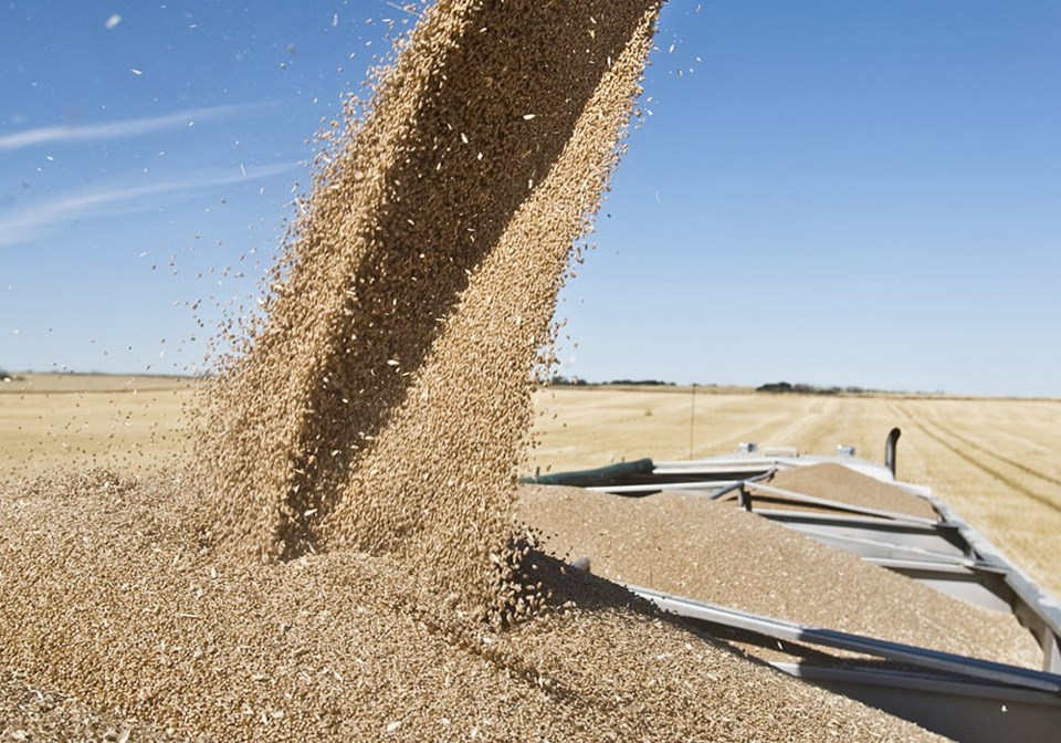 harvest-truck-wheat1023