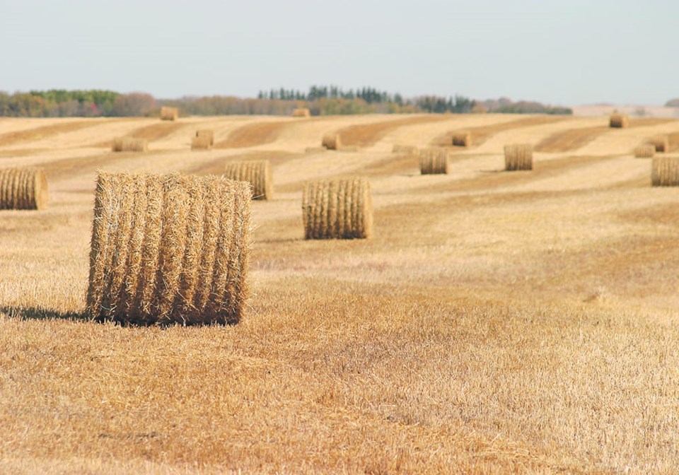irrigation-callout-03-straw-bales