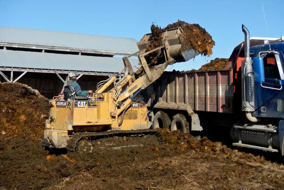 manure