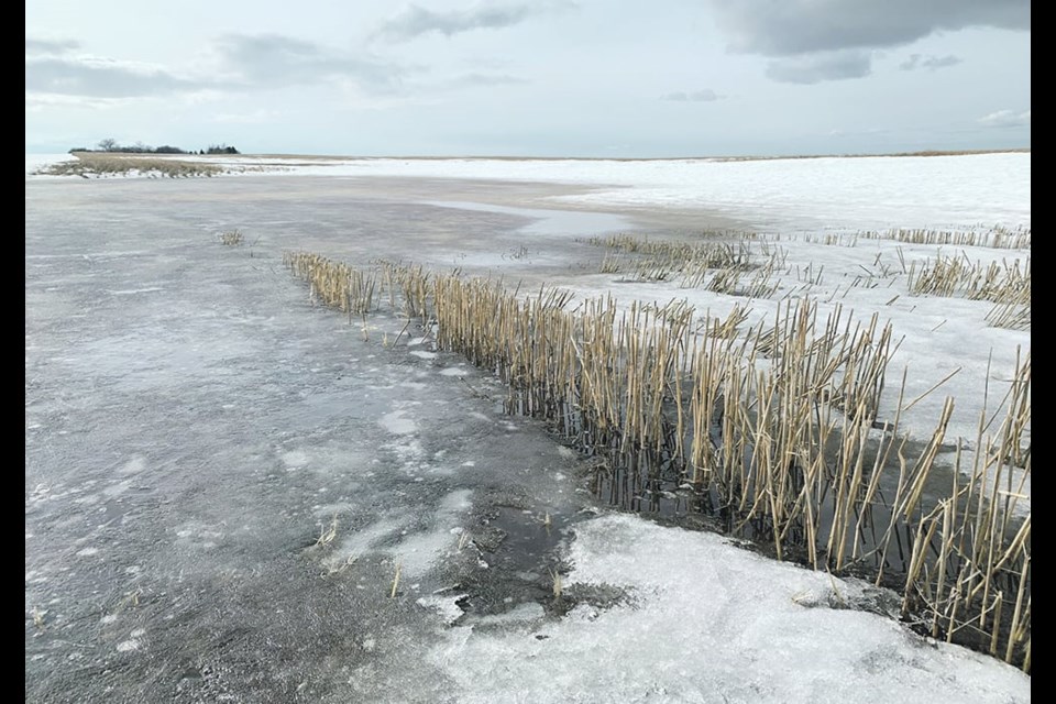 The report released by the Water Security Agency Feb. 8 shows a wide swath from northwestern through central and southeastern regions with near normal snowmelt runoff expected. However, a band in the southwest that includes the Scott, Outlook, Moose Jaw, Assiniboia, Swift Current, Leader and Kindersley areas is in the below normal runoff category. The far northeast is also below normal. 