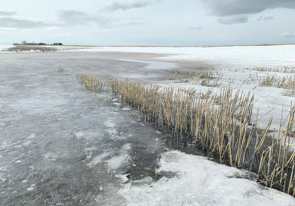 pby-spring-water-runoff0224