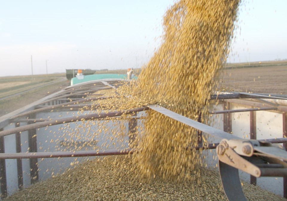 rka240914_harvestpics_soybeans0424