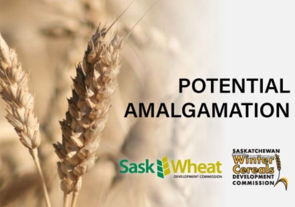 sask-wheat-swcdc-amalgamation-screencap