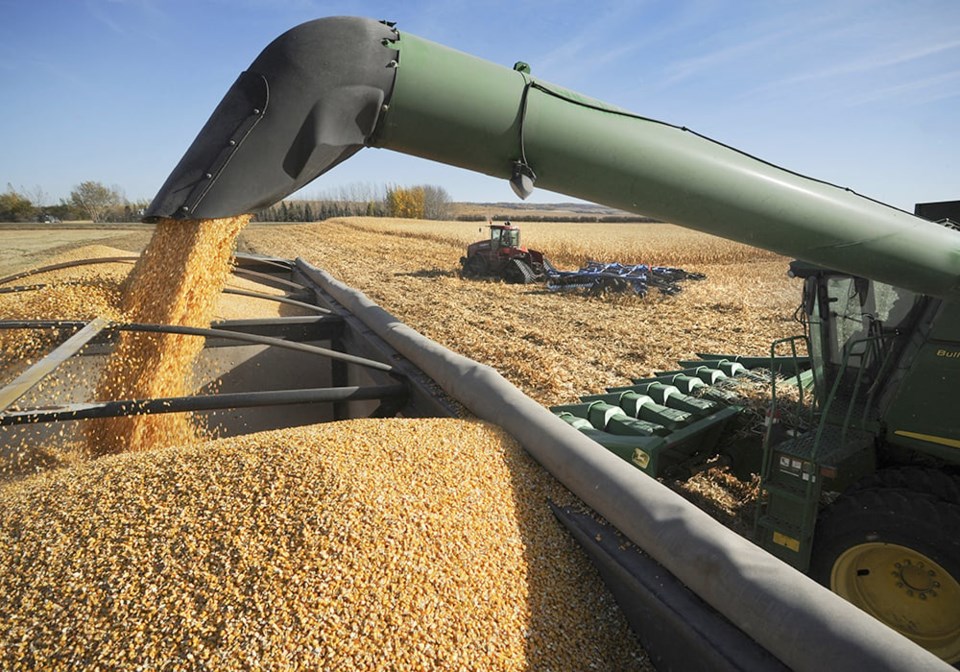 us-farm-income-harvest-corno224