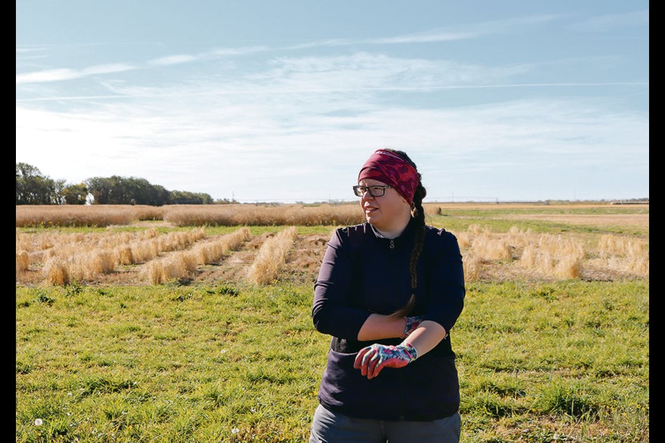 Agriculture Canada entomologist Meghan Vankosky is testing a strategy of catching pea weevils in trap crops at field edges where they can be taken out before they spread to the rest of the field. 