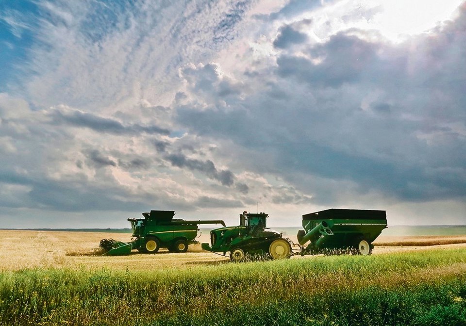 wp barley-harvest