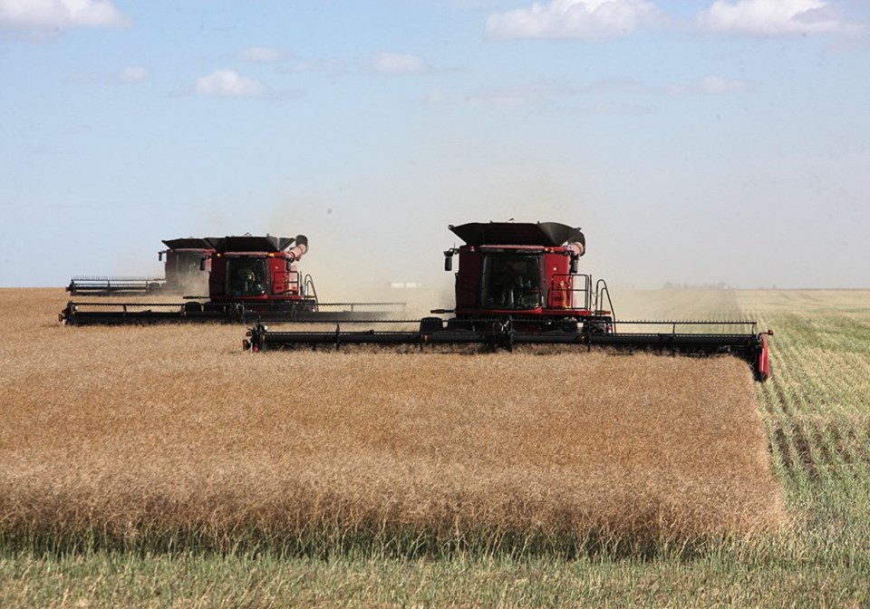 wp canola combine