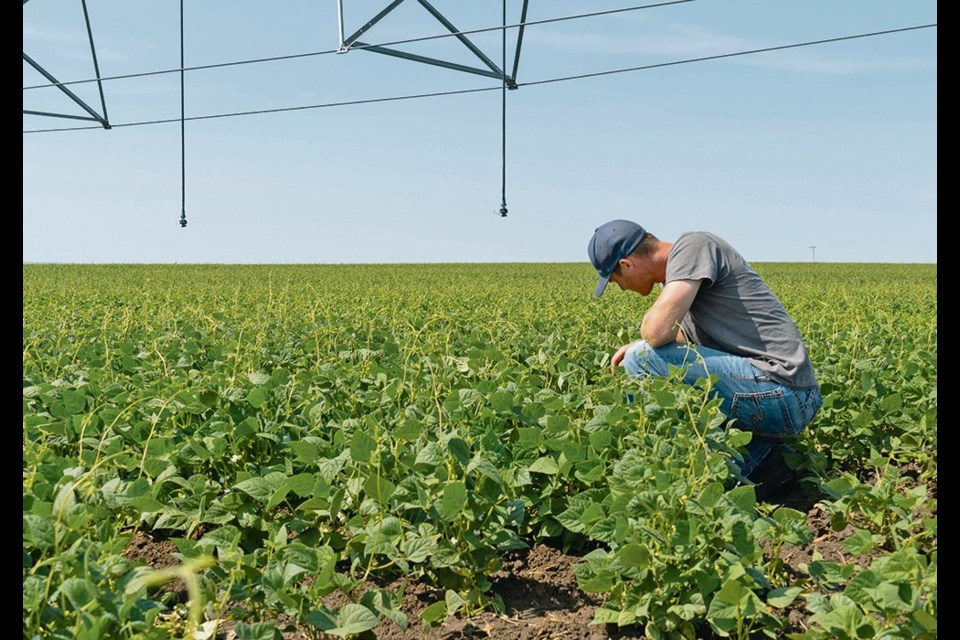 Jeff Ewen thinks of irrigation as an expensive insurance policy for the farm. 