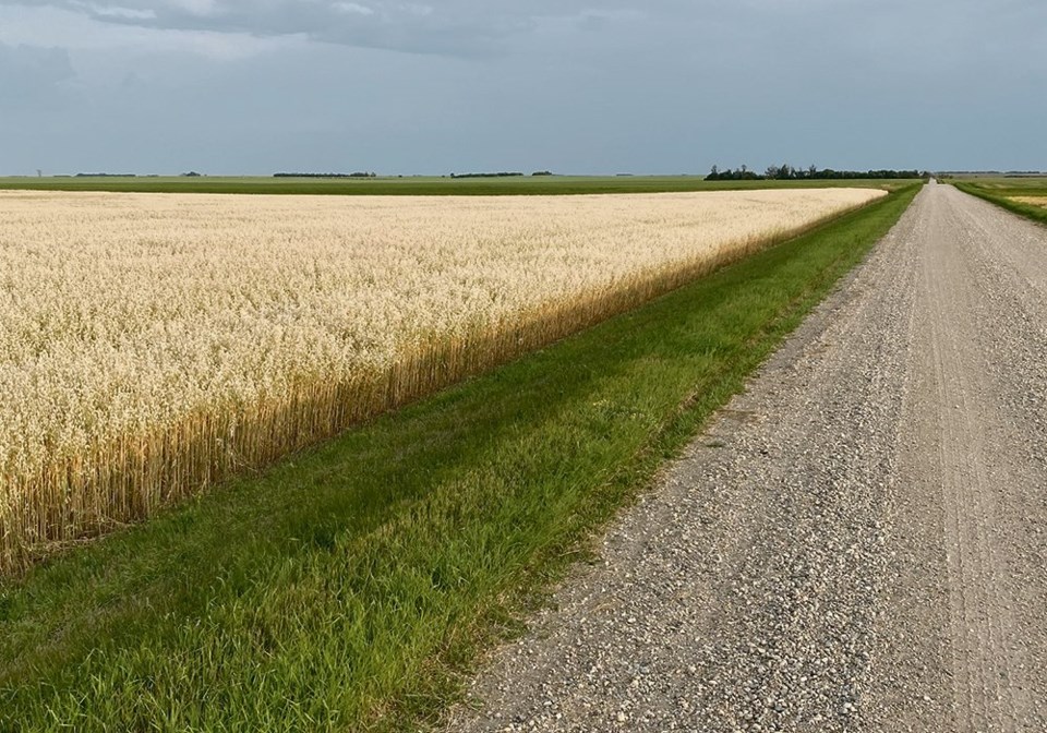 wp farmland road